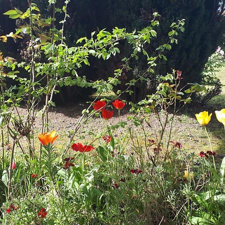 Appartamento Les Ecureuils Bourguignons Montchanin Esterno foto